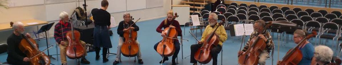 Videnskab om amatørmusik